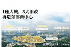 现延期交付或质量缩水问题